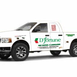 VEHICLE BRANDING