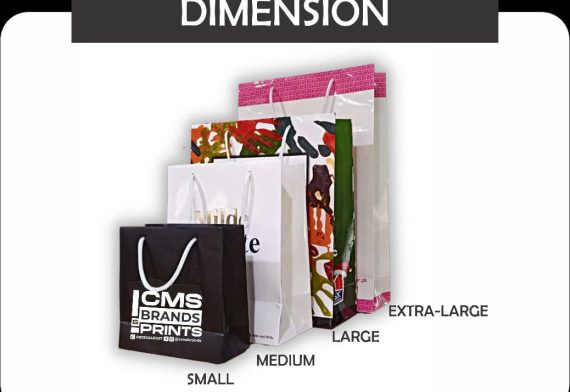 🌍 WHY PAPER BAGS MATTER: A SMART CHOICE FOR YOUR BRAND – CMS BRANDS AND PRINTS